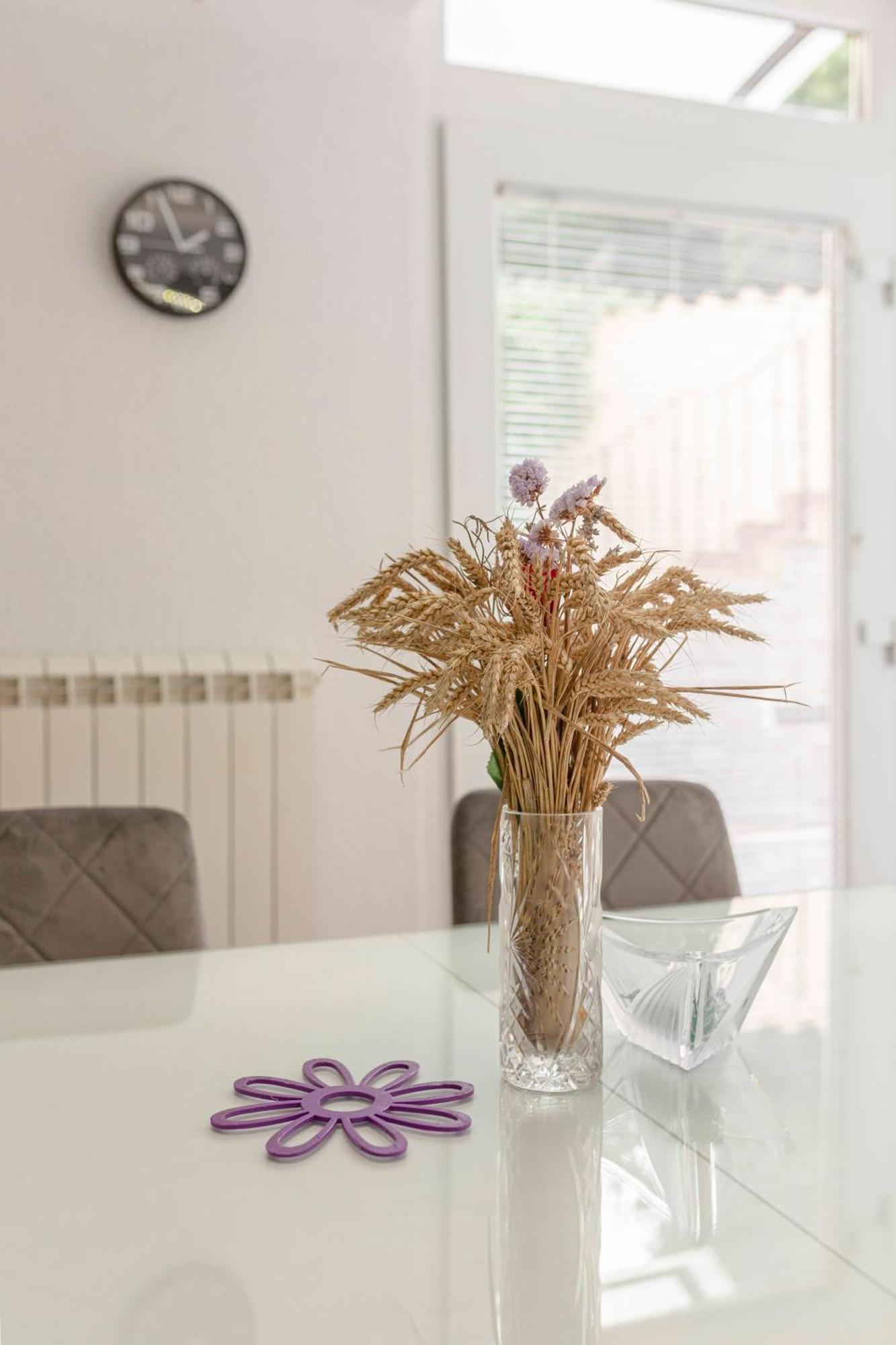 Celia Apartment Koper